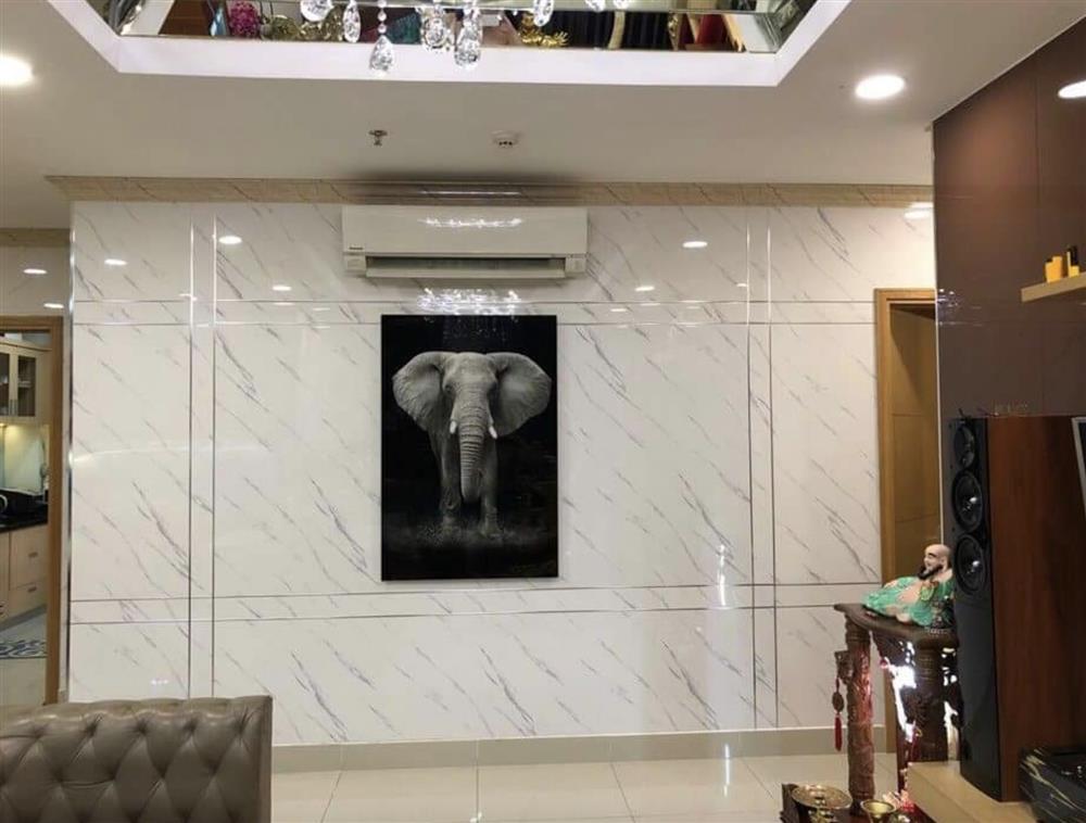 Vách nhựa PVC có nhiều mẫu mã và kiểu dáng khác nhau